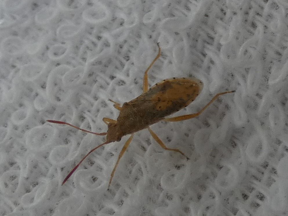 photo_3